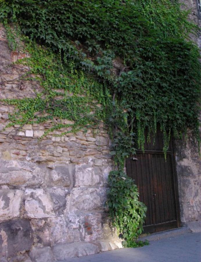 Aufhauser Hof เรเกนส์บวร์ก ภายนอก รูปภาพ